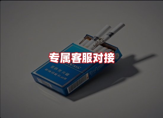 专业团队